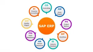 SAP ERP moduly
