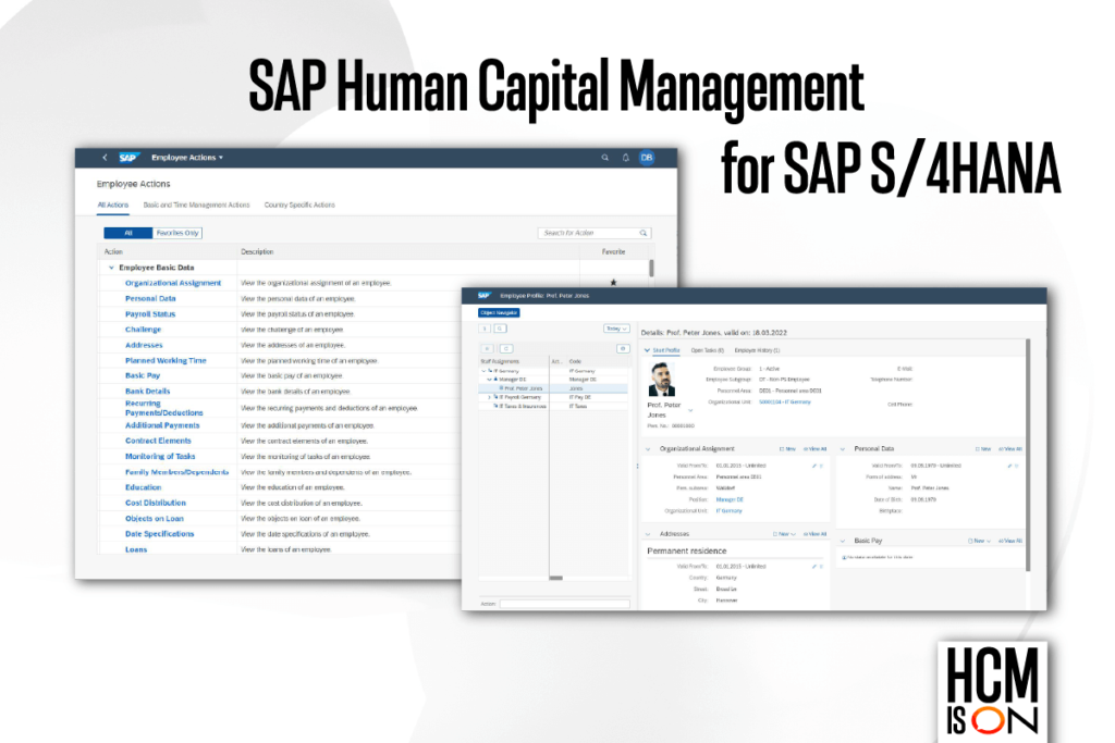 SAP HCM-Transformation zu S/4 HANA & HXM - Hicron