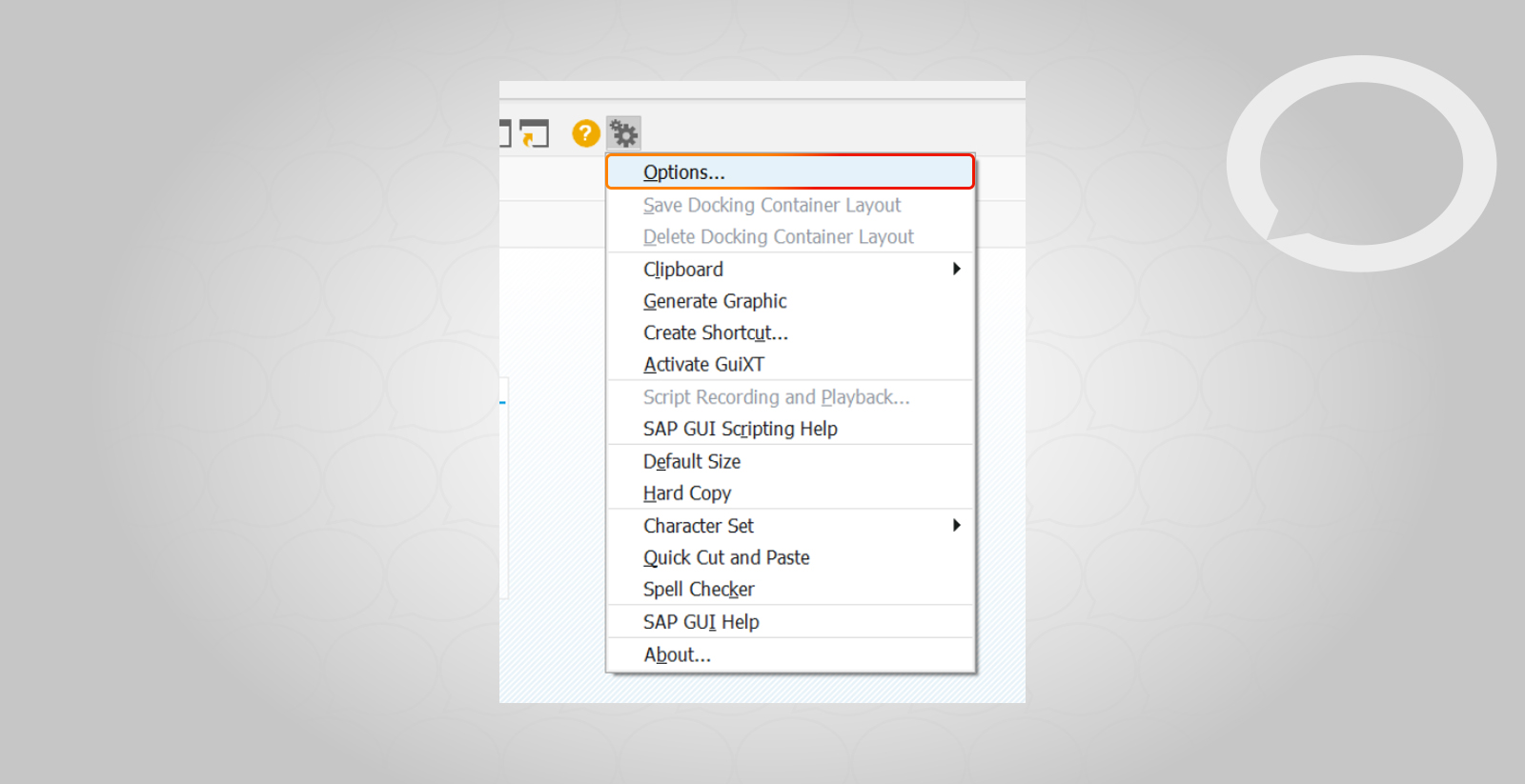 How to display technical names in SAP dropdown?