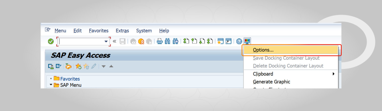 Sap Customize How to change the appearance of SAP? - Hicron