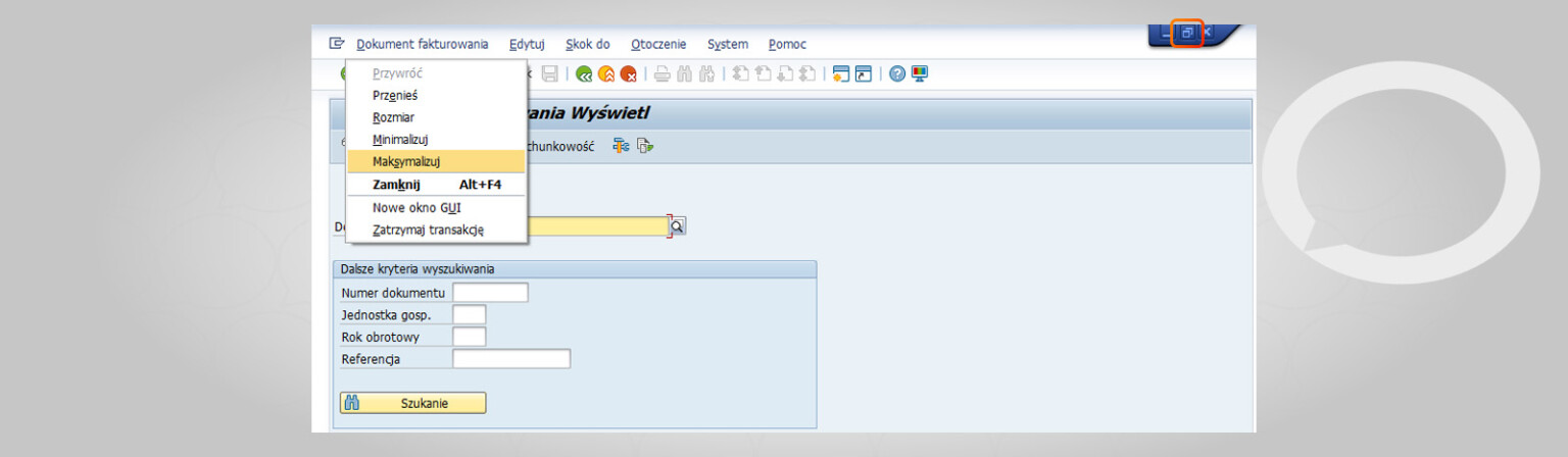 How to maximize and minimize a window in SAP? - Hicron