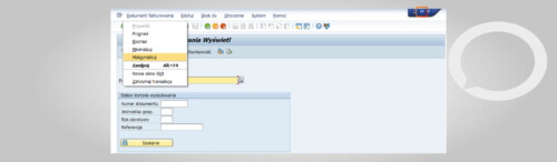 Sap Example Window How to maximize and minimize a window in SAP? - Hicron