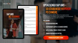 ebook_SAP_AMS_co_znajdziesz_w_srodku