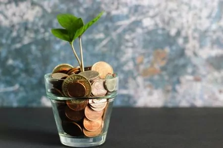 a plant growing out of a pot with money