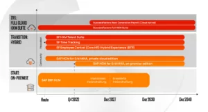 SAP S/4HANA chart de