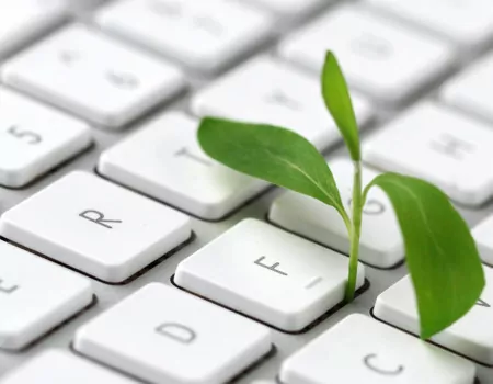 Carbon footprint – what is it and how does it affect running a business?