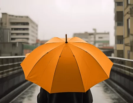 Ein Schirm von Atlassian für die Implementierung von SAP S/4HANA Cloud