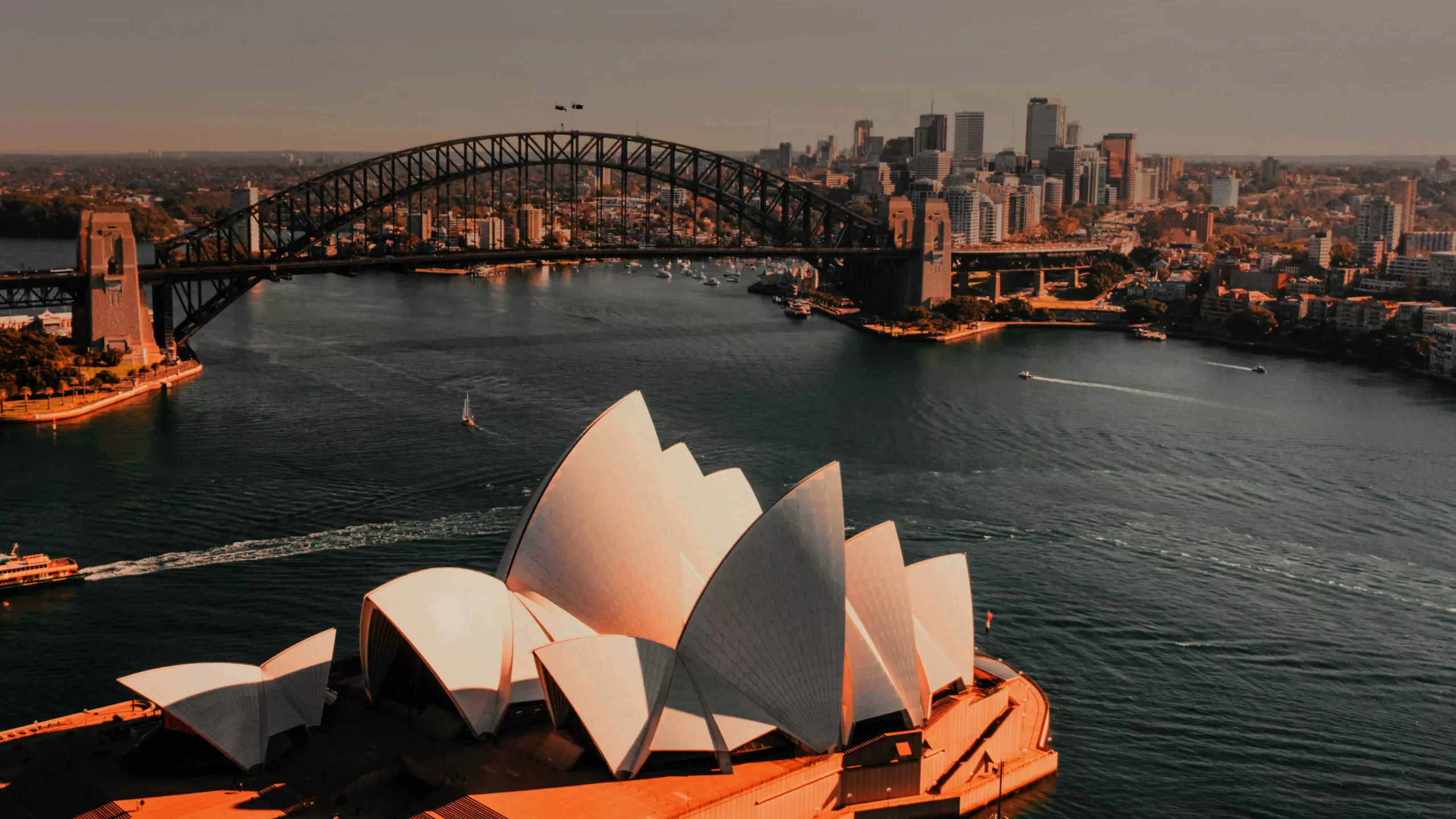 Hicron Efficiency Plan for SAP Leaders